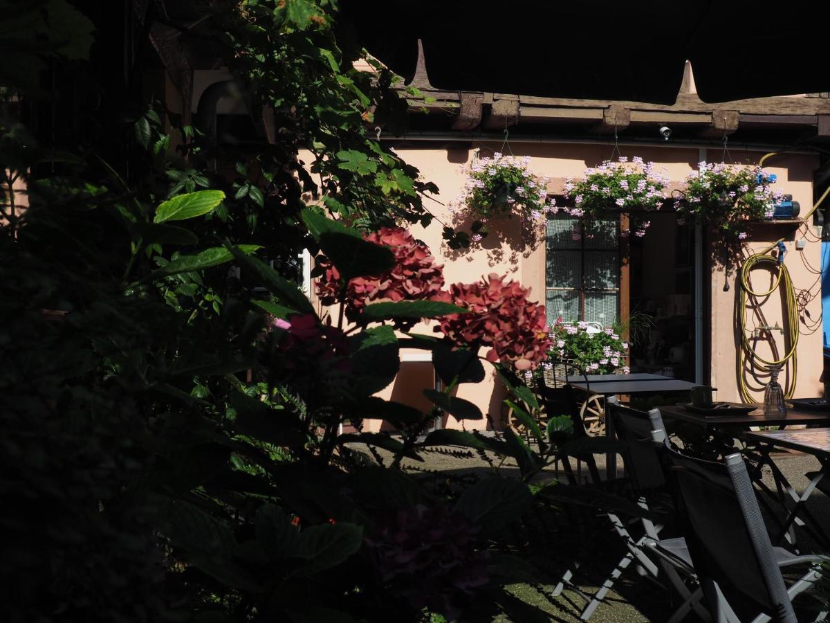 Chambres D'Hotes Chez Caroline Colmar Exterior photo